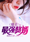 地表最强赘婿苏纳克