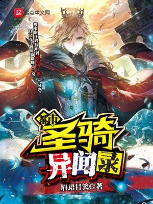 都市圣骑异闻录 小说