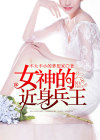 女神的近身兵王叶洛的小说
