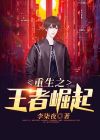 重生之鉴宝王者