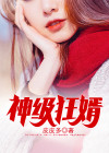 神级狂婿岳风全集小说