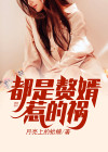 都是赘婿惹的祸全文免费阅读