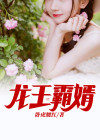 龙王霸婿免费阅读