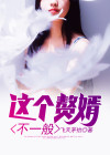 这个赘婿有点
