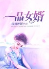 大宋一品女婿