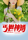 丐世神婿无弹窗