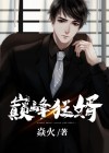 巅峰狂婿全文免费阅读