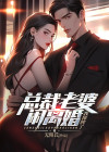 总裁老婆要离婚小说