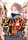 老高是啥
