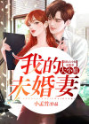 阅读小说我的大小姐老婆
