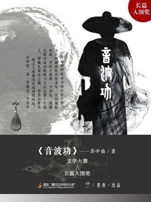 音波功小说