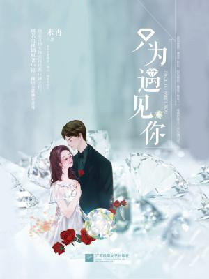 只为遇见你一生遥望是什么歌