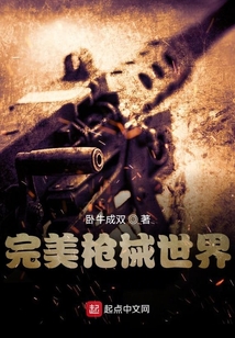 完美枪械世界 小说