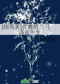 优雅的兰马洛克先生晋江