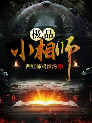 极品风水师百度云