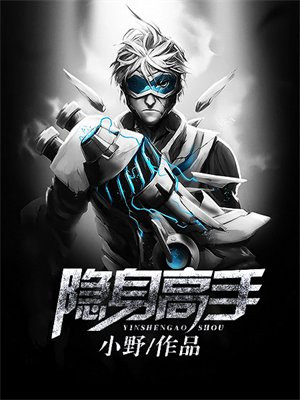 隐身高手 小说