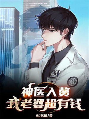 小说入赘神医