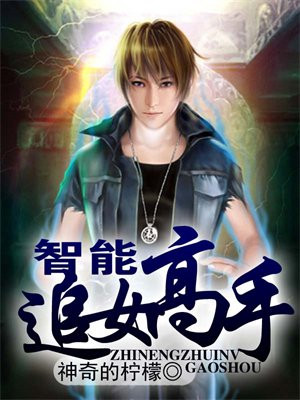 智能高手小说