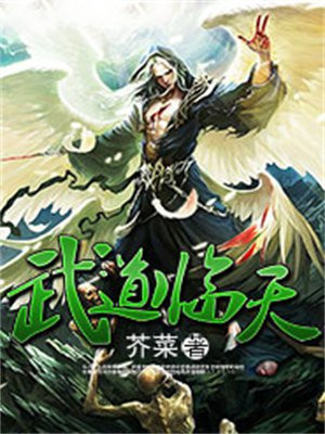 武道临天下载