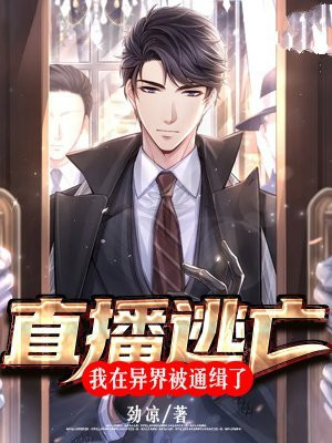 直播逃亡的小说