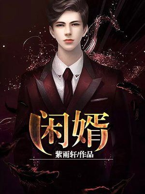 闲婿电视剧