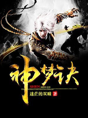 神梦诀 小说