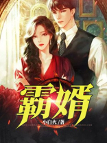 霸婿崛起免费阅读全文