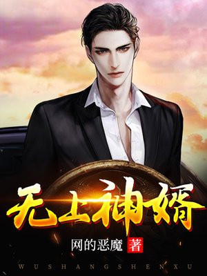 无上神婿北辰全文免费阅读