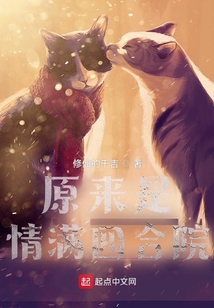 原来是情满四合院小说