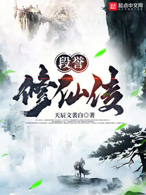 段誉修仙传小说免费阅读