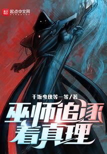 小说巫师追逐着真理