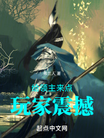 给领主一点玩家震撼小说