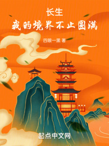 长生:我的境界不止圆满 小说