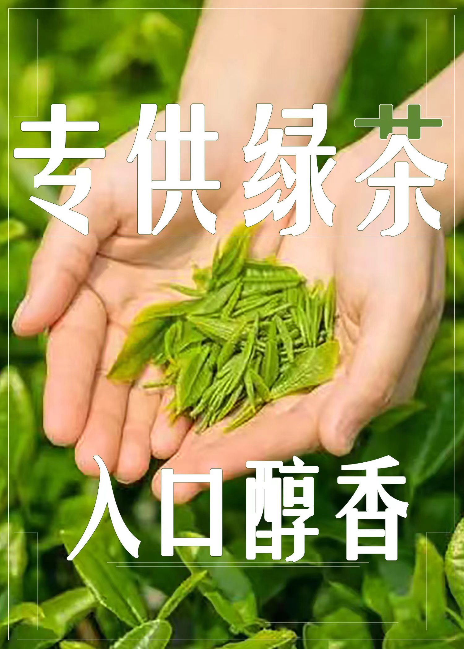 和绿茶在一起之后我爆火了免费阅读