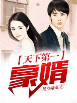天下第一豪婿免费下载TXT