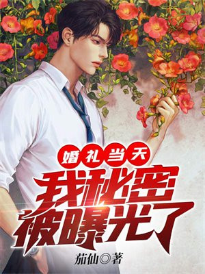 婚礼当天,我秘密被曝光了 免费 小说