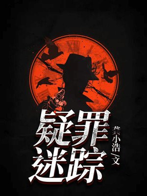 疑罪迷踪小说