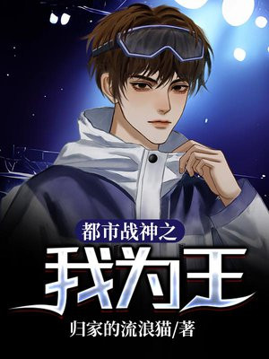 都市战神之我为王 归家的流浪猫
