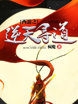 西游之逆天寻道小说