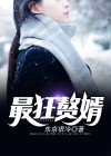 最狂赘婿 黑夜独行