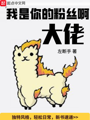 我是你的粉丝啊大佬 小说