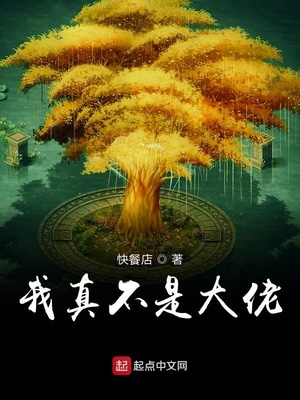 小说我真不是大佬