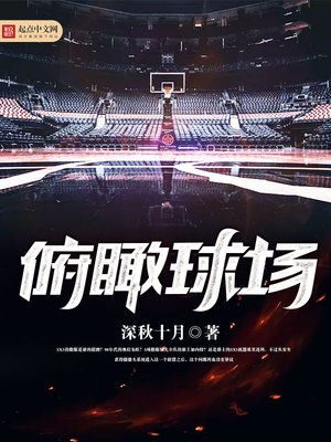 俯瞰球场 小说