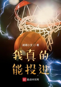 我真的能投进 小说