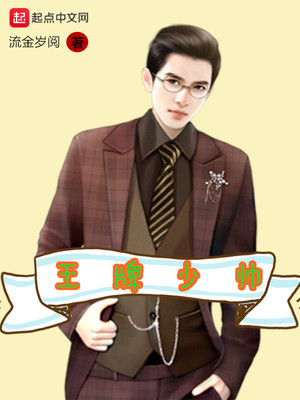 王牌少帅 小说