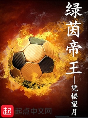 足球天才