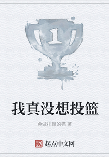 我真没想投篮笔趣阁