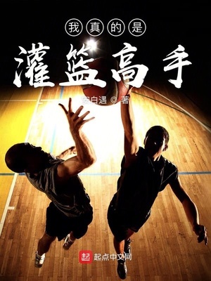 我真的是灌篮高手 小说