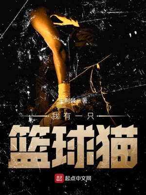 我有一个篮球梦
