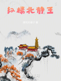红楼北静王,第六十四章 过于简朴的郡王